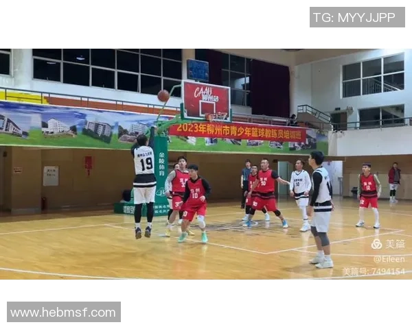 上海篮球队在城市联赛中的经验与表现分析及未来展望