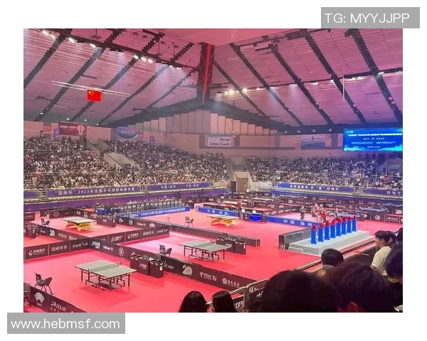 乒乓球的奋斗与荣耀：杭州乒乓球队成长历程全景纪实