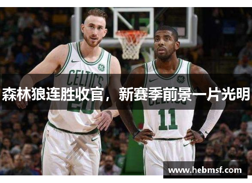 森林狼连胜收官，新赛季前景一片光明