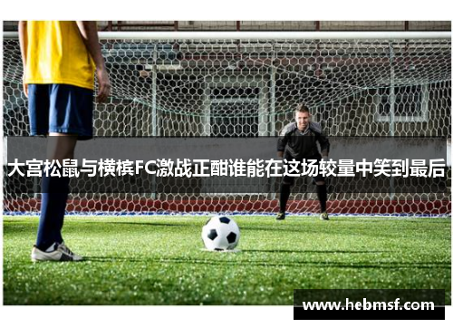 大宫松鼠与横槟FC激战正酣谁能在这场较量中笑到最后