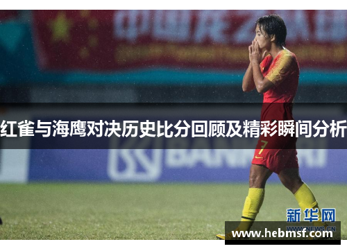 红雀与海鹰对决历史比分回顾及精彩瞬间分析